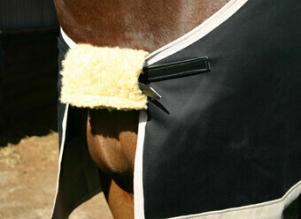 Chest Protectors