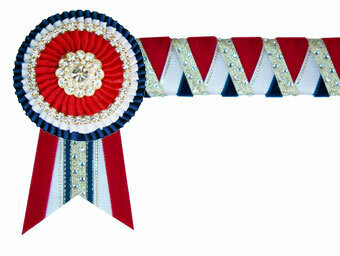 Diamante Browband
