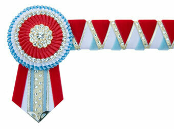 Diamante Browband