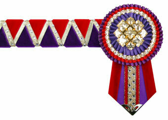Diamante Browband