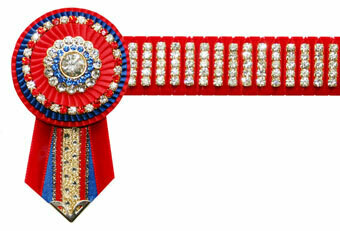 Diamante Browband