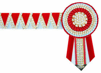 Diamante Browband