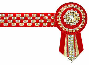Diamante Browband