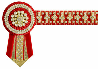 Diamante Browband