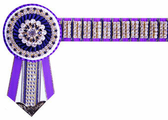 Diamante Browband