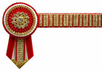 Diamante Browband