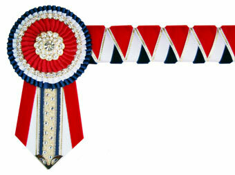 Velvet Browband
