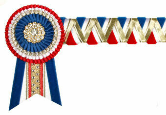 Velvet Browband