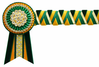 Velvet Browband