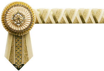 Velvet Browband