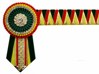 Velvet Browband