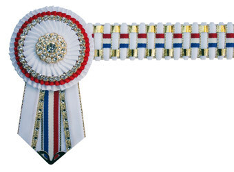 Velvet Browband