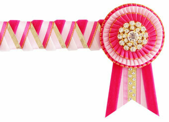 Velvet Browband