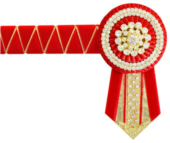 Velvet Browband