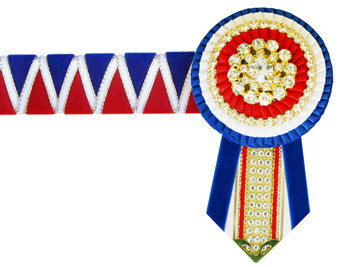 Velvet Browband
