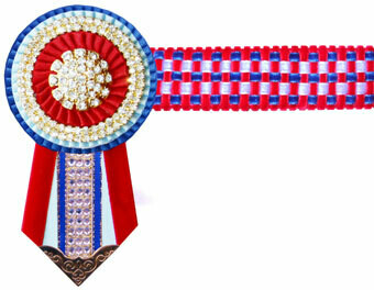 Velvet Browband