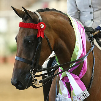 Velvet Browband