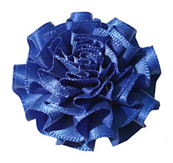 Carnation