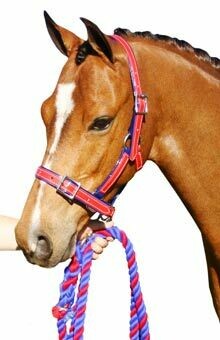 PVC Halter -design Your Own