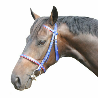 PVC Bridle