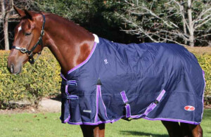 4&#39;9&quot; Zilco Explorer Rug