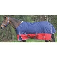 4&#39;9&quot;Crusader Rug