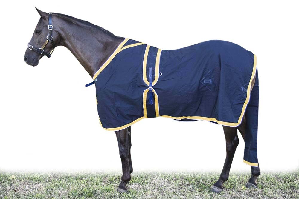 Quilted Show Range with Crowns - Design your own, Show Set: Show Rug