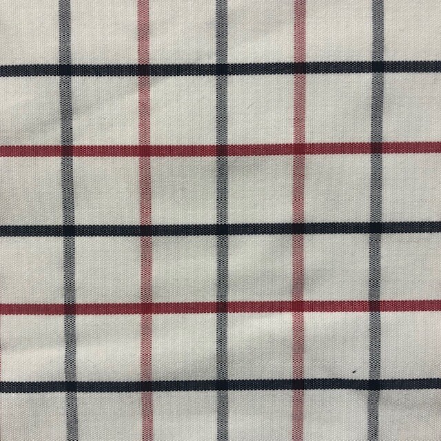 Navy/Red Collarcheck