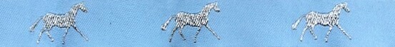 Horse Binding- Sky/Silver Horse