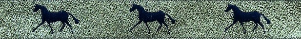 Horse Binding- Gold/Navy Horse