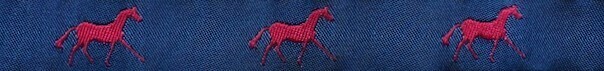 Horse Binding- Navy/Red Horse