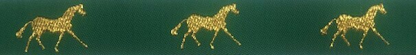Horse Binding- Green/Gold Horse