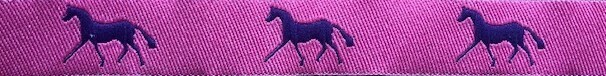 Horse Binding- Pink/Purple Horse