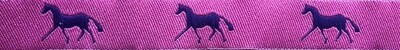 Horse Binding- Pink/Purple Horse
