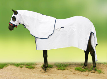 Flag Cloth - In stock