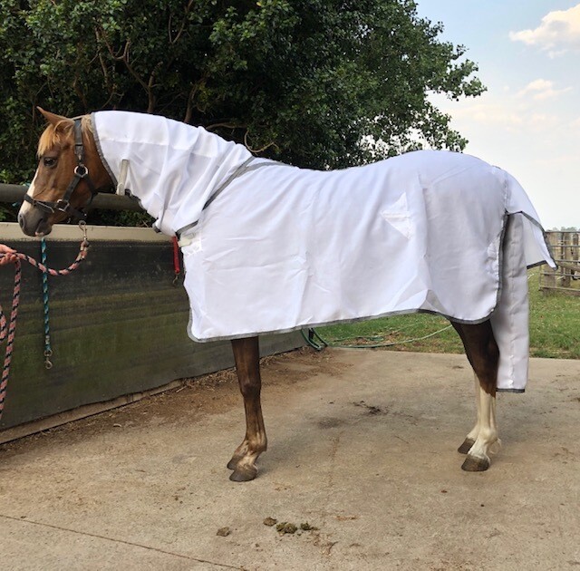 Flag Cloth Combo- Design your Own