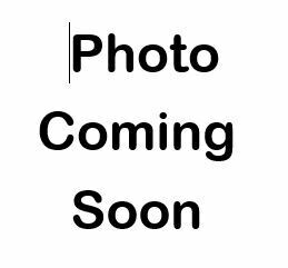 Paddock Rug &amp; Neck Rug - Design your own