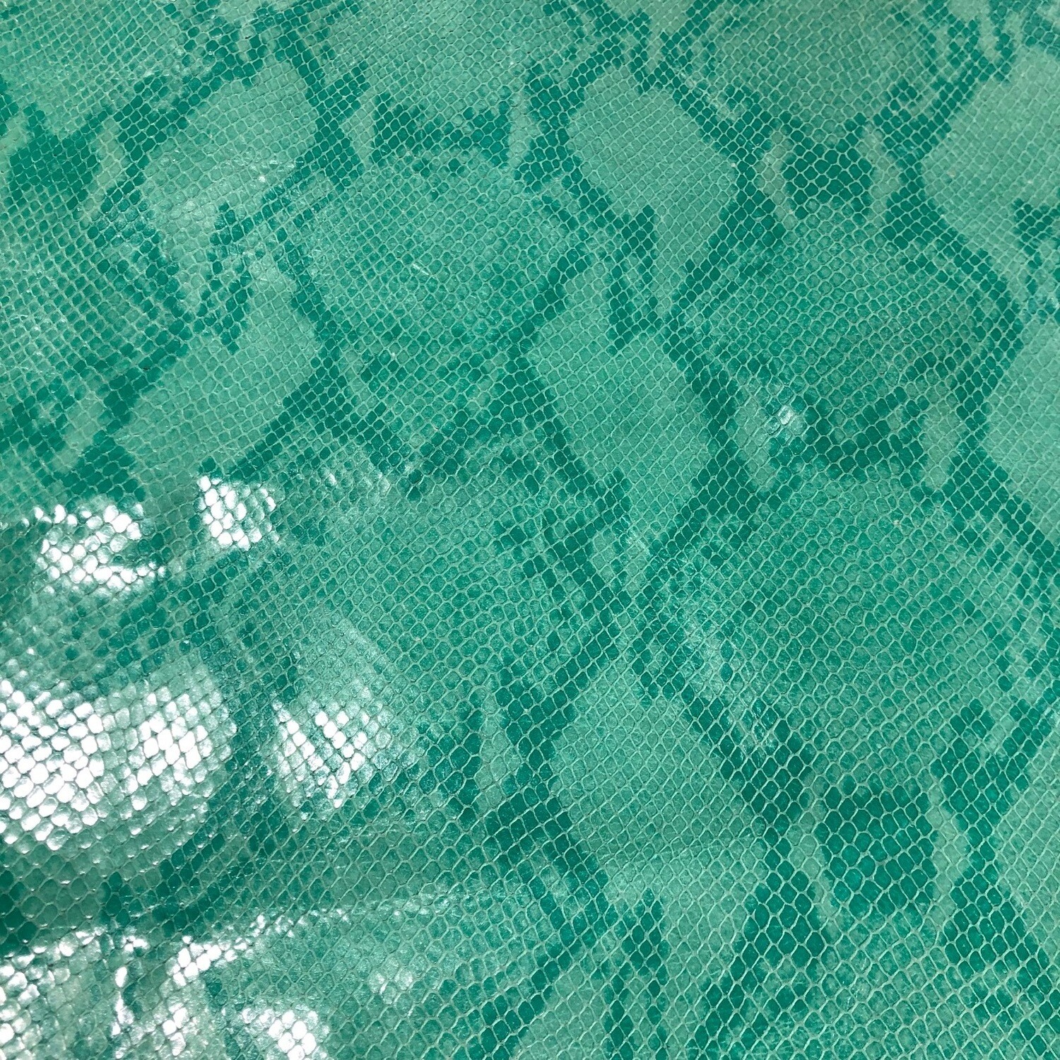 Mint Green Snake Print