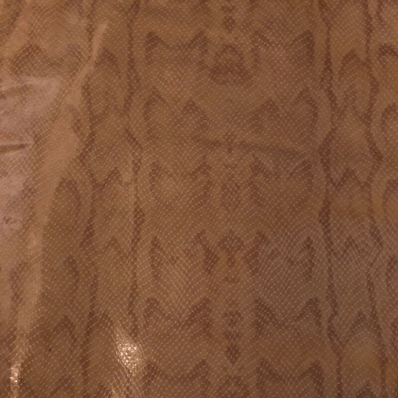 Tan Snake  Print