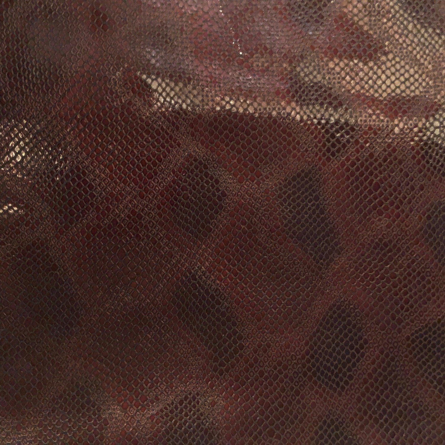 Brown Snake  Print no.5