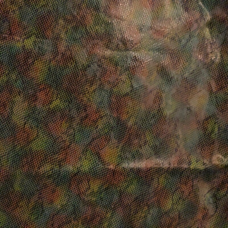 Rainbow Serpent Print