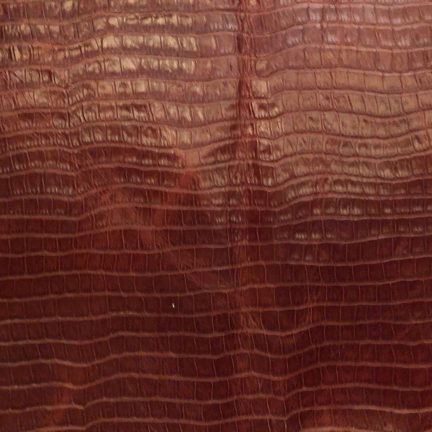 Port Snake Print