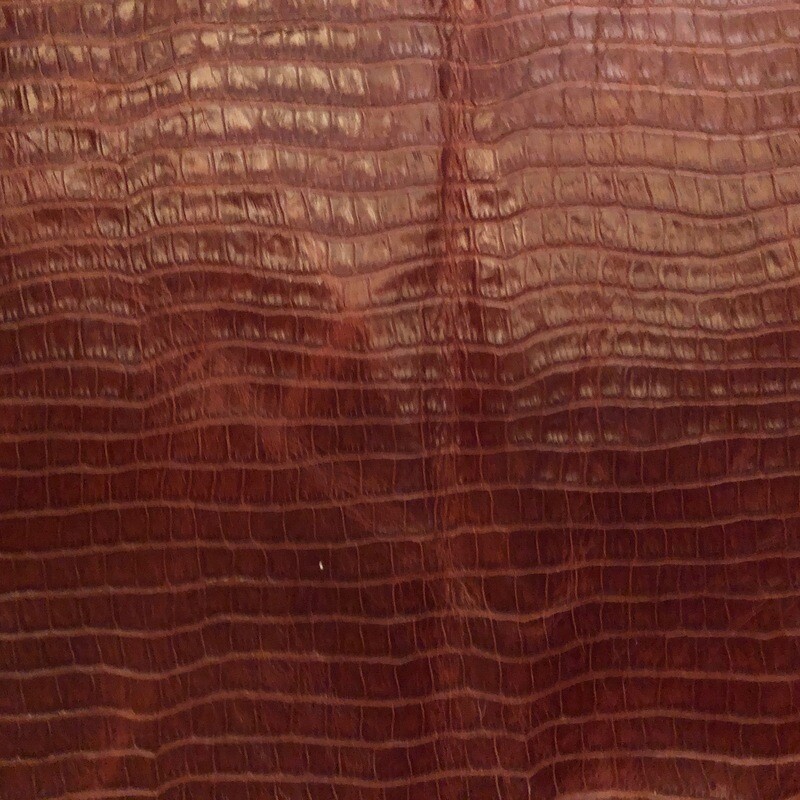 Port Snake Print