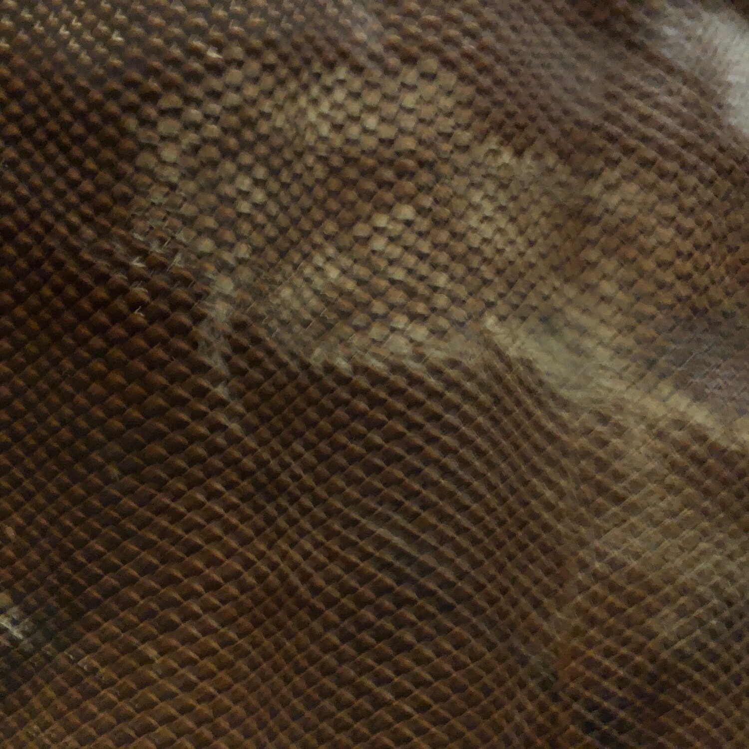 Brown Snake Print no.6