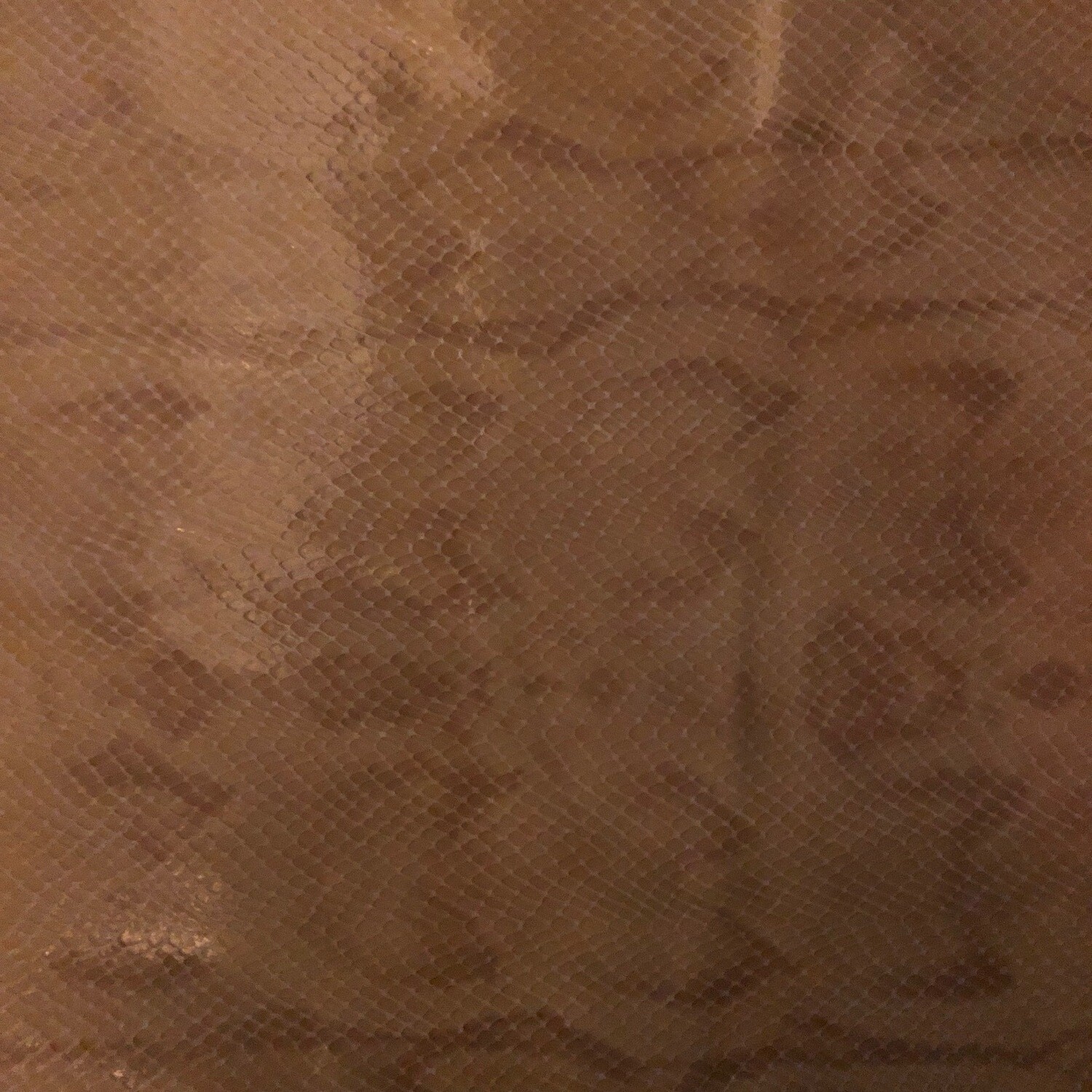Brown Croc  Print No.2