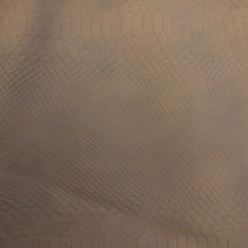 Sky Blue Croc Print
