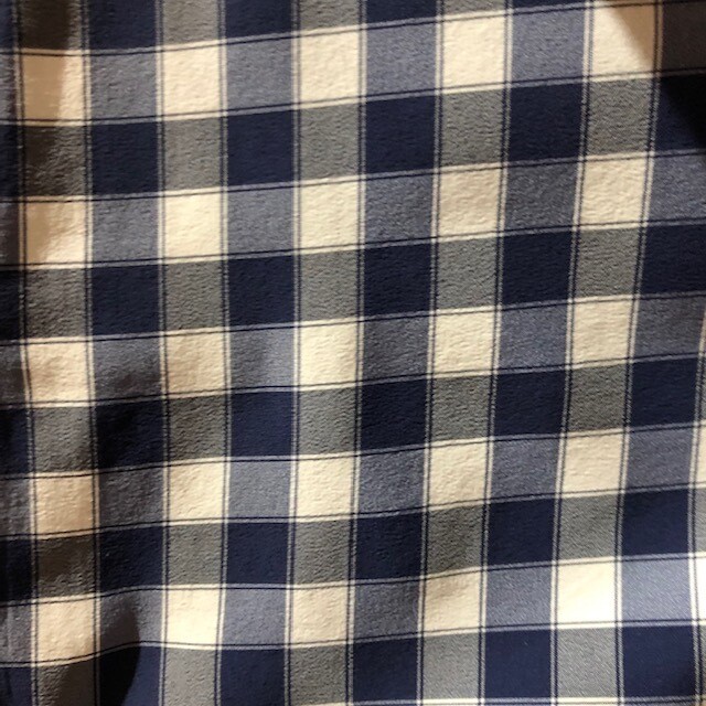 Navy Check