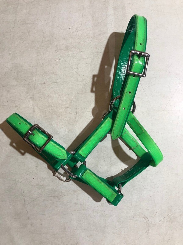 PVC Halter Pony