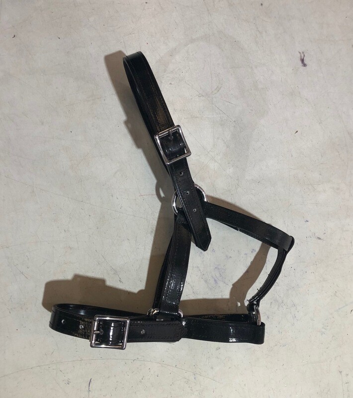 PVC Halter Pony