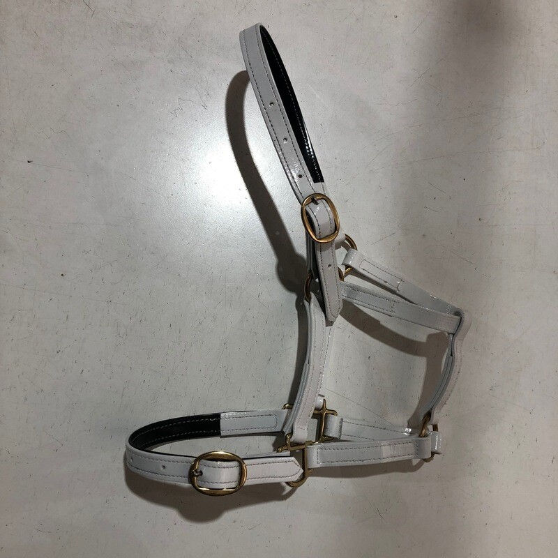 PVC Halter Pony - Royal/red